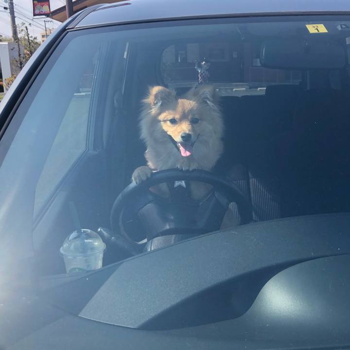 C3563731 f433 4374 9a3f a141811a89da 1585987001997