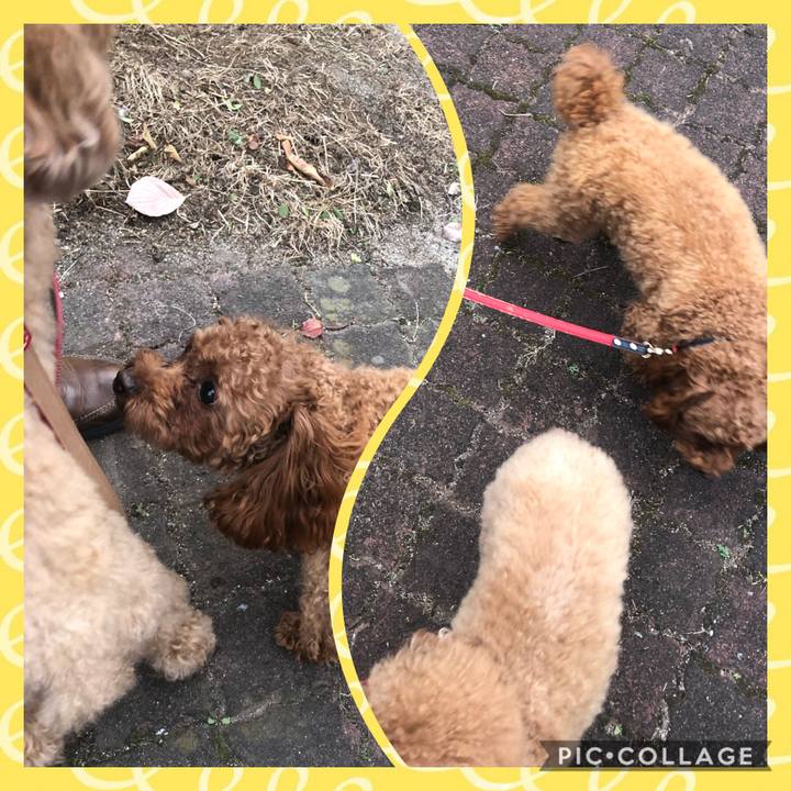 C356730e de78 4157 a1a4 a20988e12c06 1604310601561