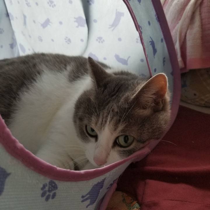 C3568519 8e74 4778 9ea4 0fdb112fb6b4 1635903371515