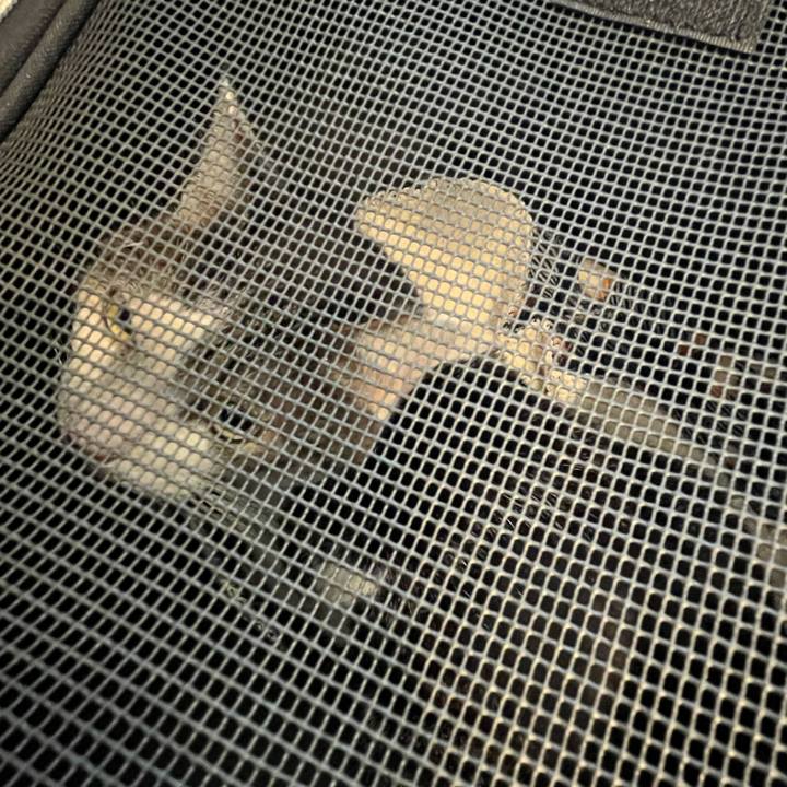 C356f979 6161 4972 993d f24737b13cd3 1766137501251