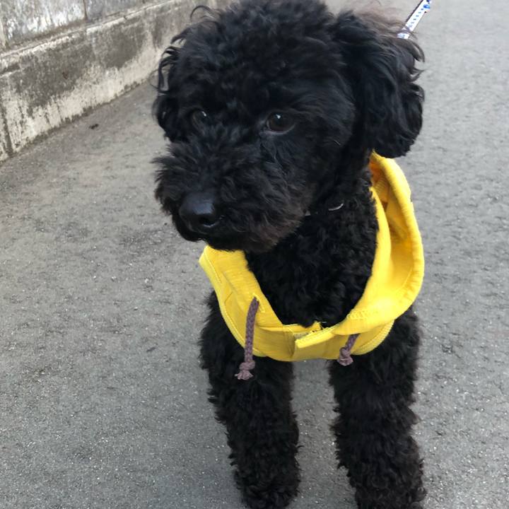 C3571e5b d121 4937 9900 f3b1c8c45ab6 1523178283884