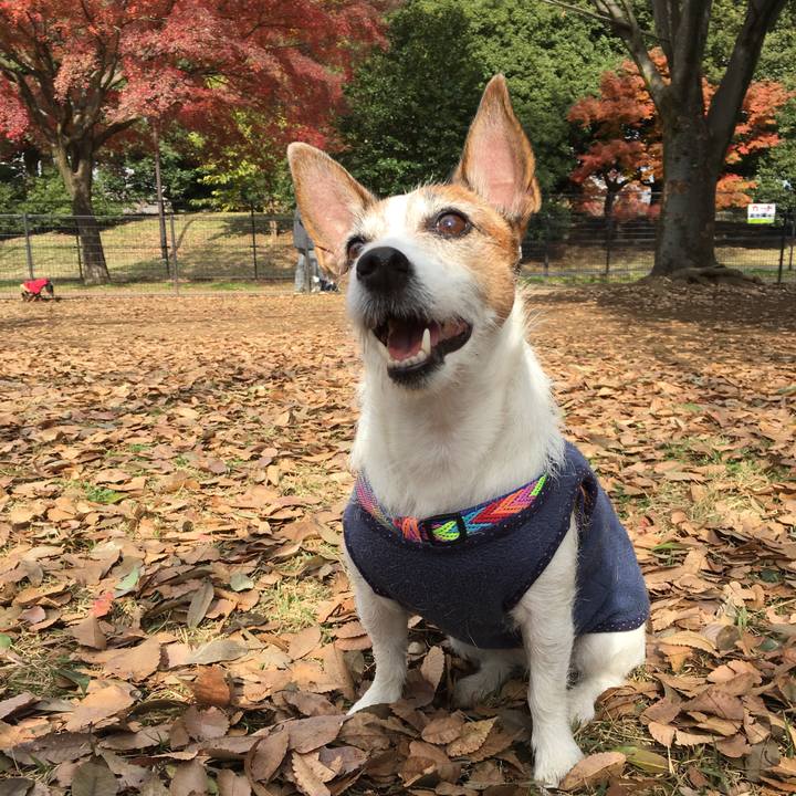 C3572d32 cff8 4a4c 9920 7ceee9d9bd04 1575167880449