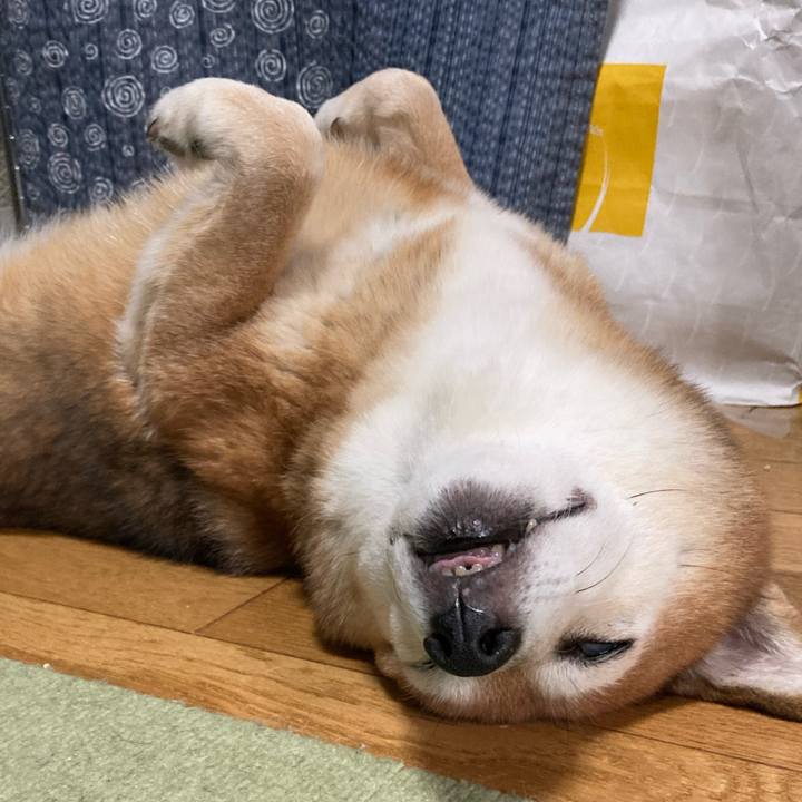 C35735ab 72d6 452c ad96 a7c3cab5c9e1 1695808246233