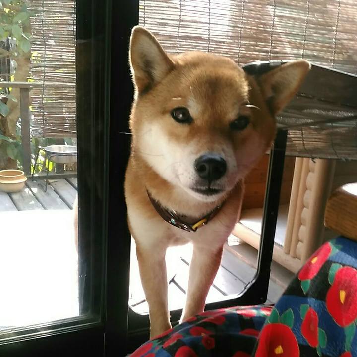 C3576b06 6f36 4c11 ab31 e8354cff4eb8 1549513117624