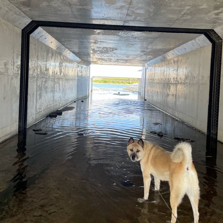 C35788d3 be05 4339 8d17 96dc0ce5c5d1 1690630052799