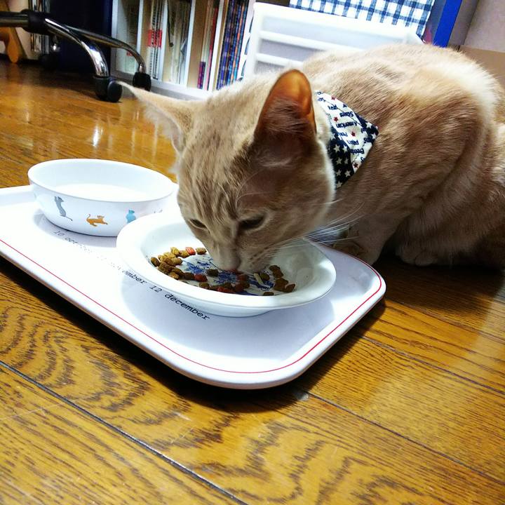 C35799ae a873 49f0 82a6 96acc17b1ef0 1550579216517