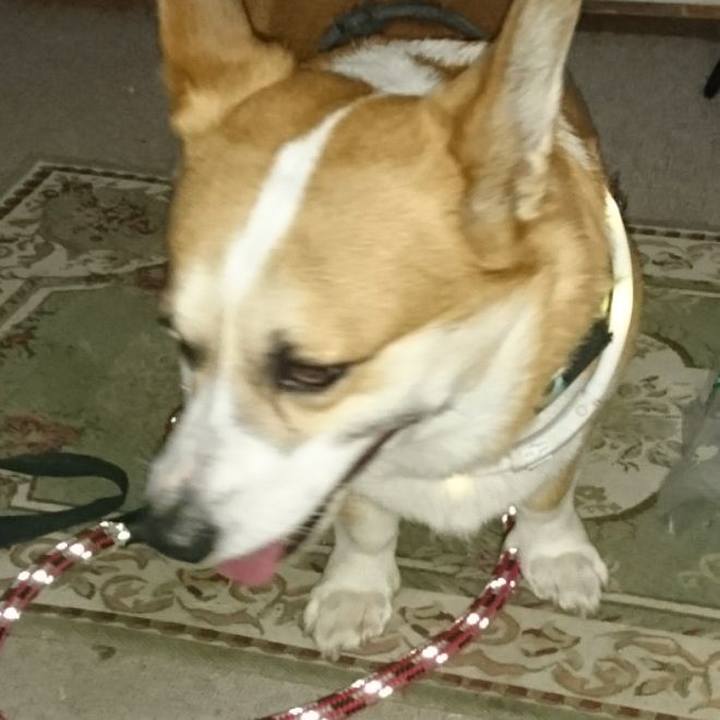 C357a0a1 46d0 49cc 9573 4e217709a488 1657096022462