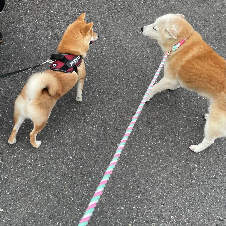 C357a303 1e8f 4499 bf08 bab54d1403ed 1635808229012