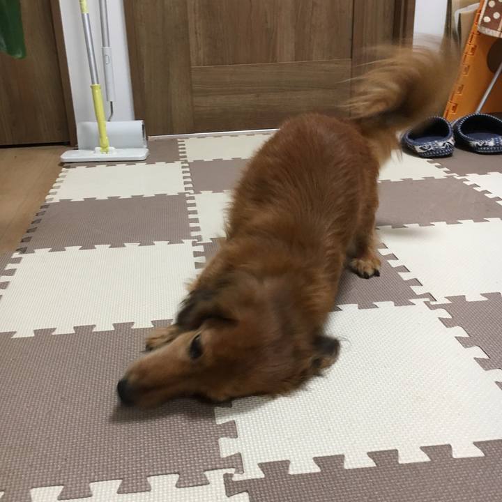 C357ace4 e360 4ba6 870a 0a1486148646 1544105901986