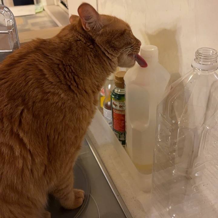 C357d4ef e18a 4309 9d4a a64c4114a7a1 1764151091000