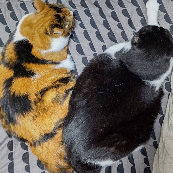 C357d8f6 9310 4004 95b6 6ac9d227ebef 1630532602749