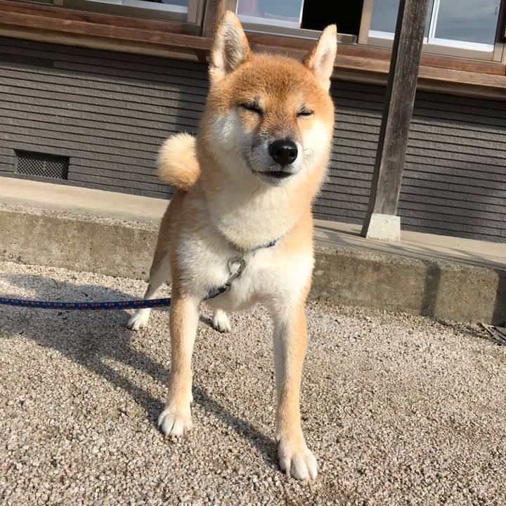 C357f7e5 687d 4be8 b334 9755ed992736 1572154887320