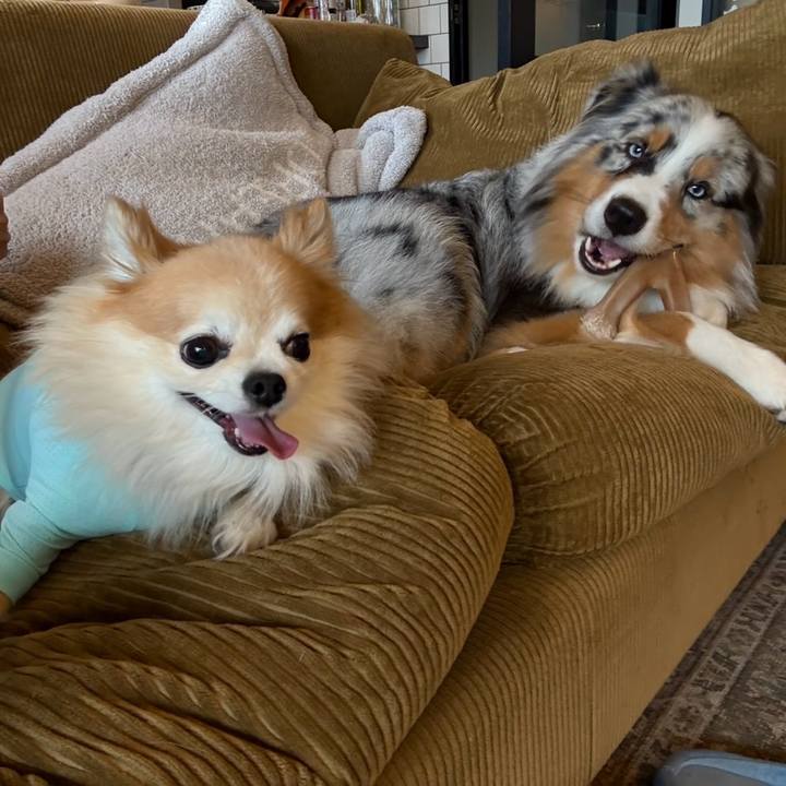 C357fc66 5cf4 4b36 96b3 2f05bc106272 1752277396925