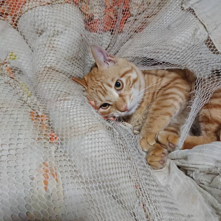 C35873e3 cfab 42aa a569 e28b470de34d 1647031486162