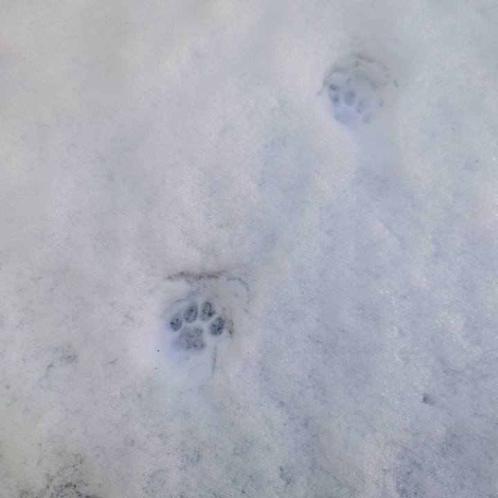 C3591114 04c1 46e7 9619 1f7cfde6ca63 1641521193278