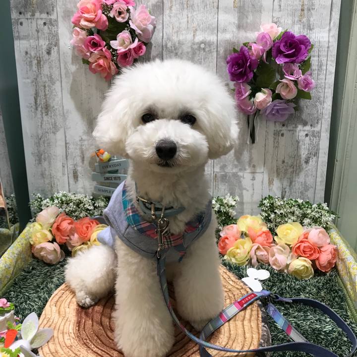 C359d039 9f91 42f8 ac13 984975eca843 1522832571429