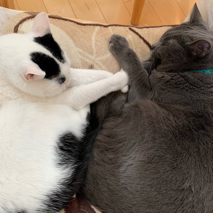 C359e541 4aed 4059 9662 8af47adea0df 1763980877672