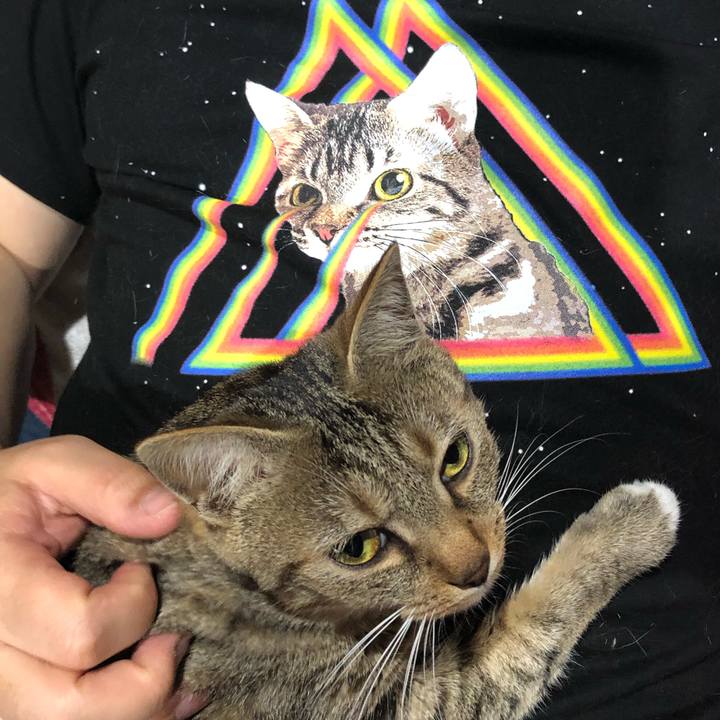 C35a075c 75a5 4e81 ad4e 48cb9041f7e0 1650779389476