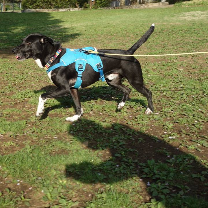 C35a4fcf c9ab 4aa6 a048 02bbc0287c2c 1617409729616