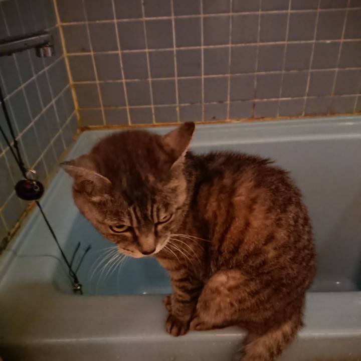 C35a8af6 92c2 4afd b0a6 0e28c946d3a1 1569317031560