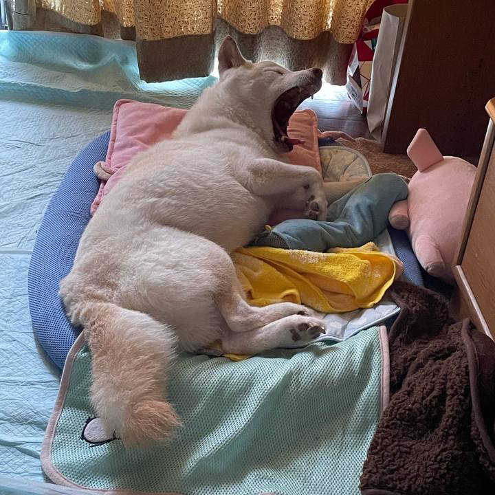 C35a957c 304a 44ad 9cdf 19657e2d16dc 1634348566286