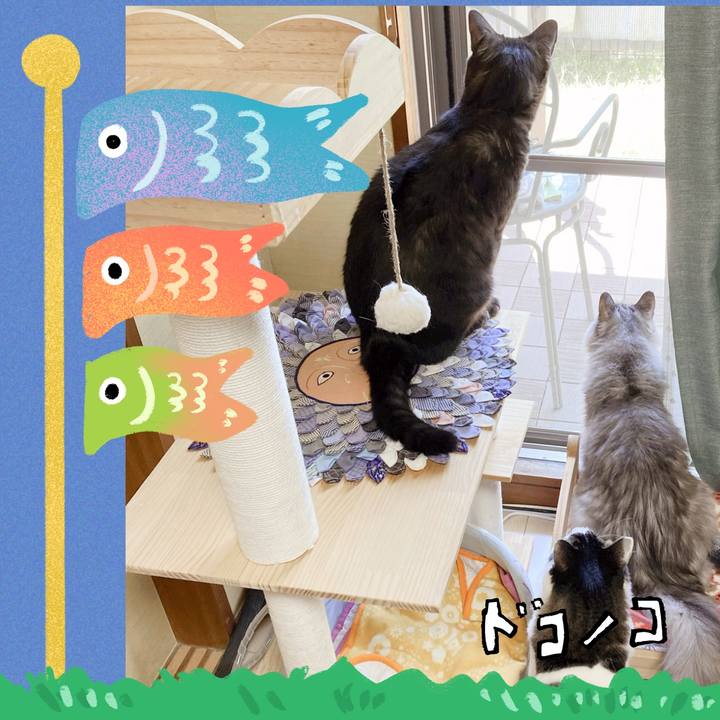 C35ab3db d944 4972 8f87 22b130d8f15a 1715313647428