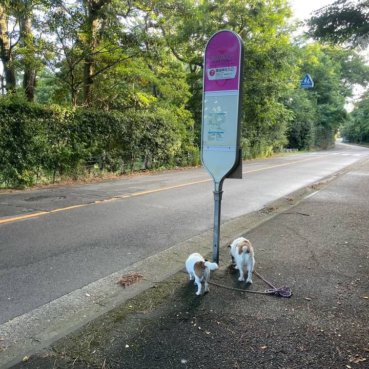 C35abd1c aadd 4fbe 8498 ab335d6c0356 1752616057466