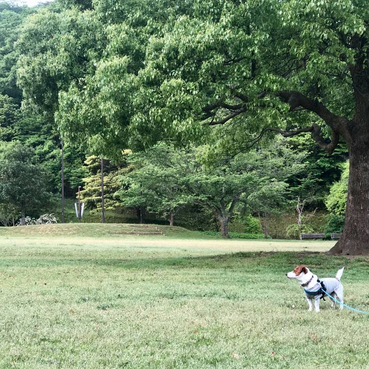 C35ad46c ad16 432b ac68 b08032b8356d 1652702155261