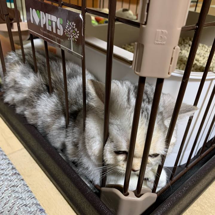 C35ae192 7773 4c5a b623 6190b5a81ea0 1705223776218