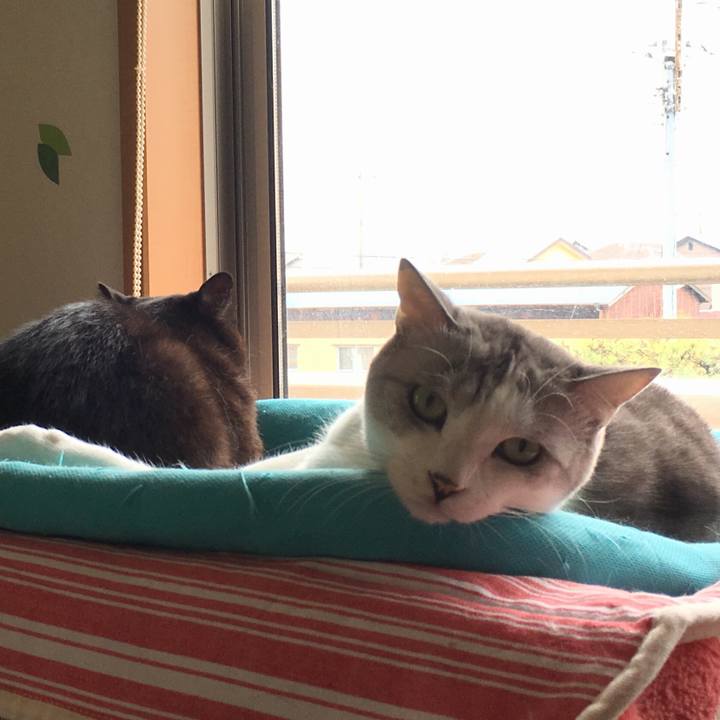 C35b2f44 4fcf 4205 a5ac 555d768f0e4a 1551923176128