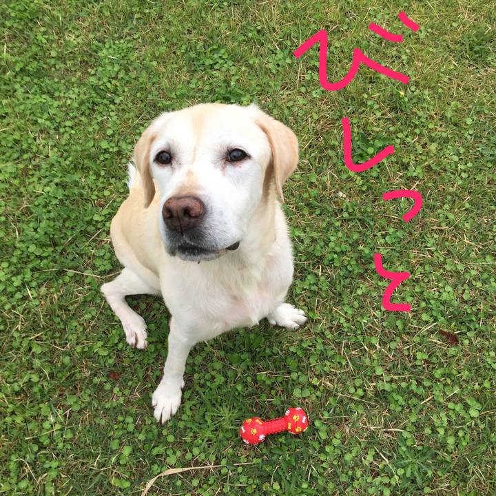 C35b32ef 2985 46f1 8244 2c1c33c8b2f4 1592522270315