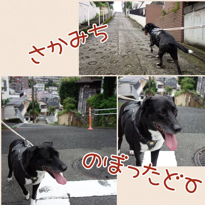 C35b5dd0 cfcf 4ac1 8eac d0fc6fbcb890 1662162807662