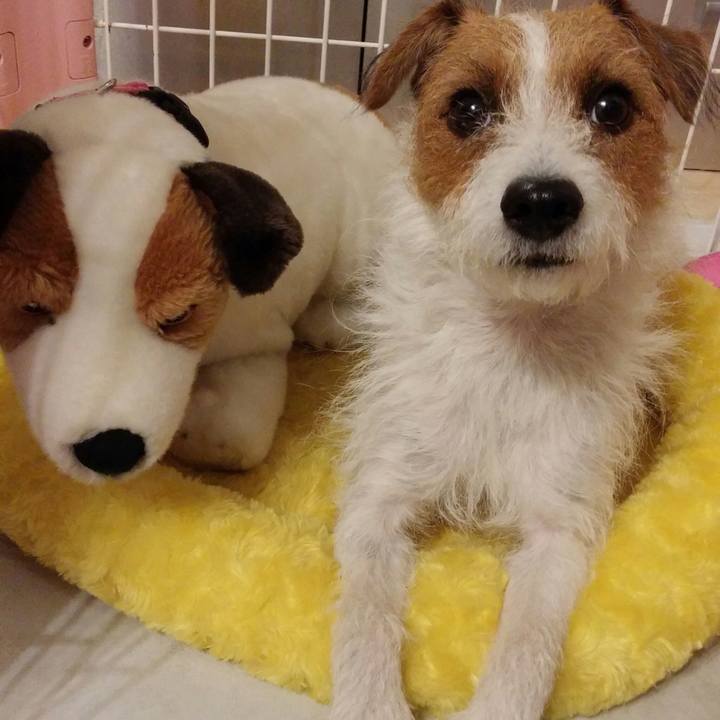 C35b8532 7d6c 4a4d b4ca ae9e95952b92 1542535797676