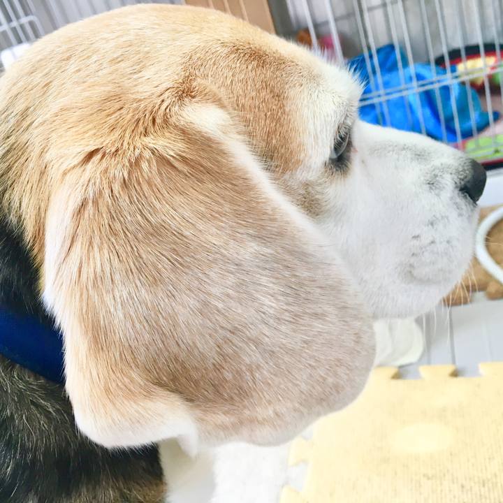 C35b8713 9c16 4ec3 b60d b8ddeb1e2e5b 1549253465879