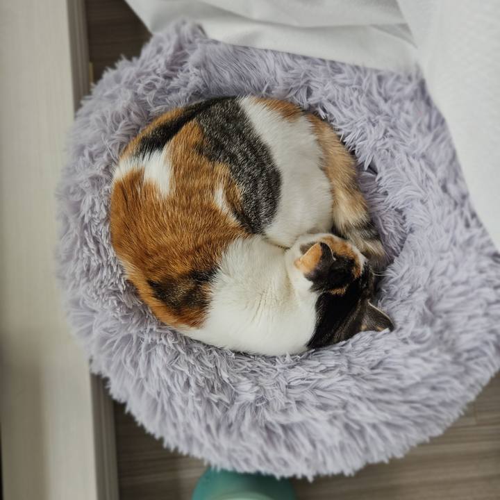 C35bdddd f295 4c44 a7e6 63a94f15bb1e 1767594866983