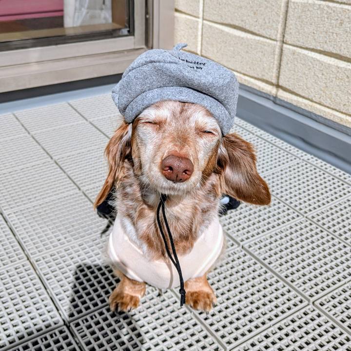 C35bf60f 9f60 4efe 8fc3 7f4ffabf9beb 1771384457121