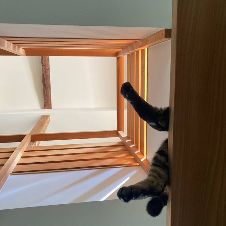 C35bf91c 07cb 49a8 841b c59b5d9eb74e 1756215513703