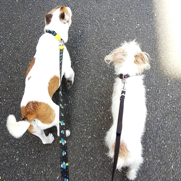 C35c0deb 687c 4013 8b36 8d4f370e590f 1558249901873