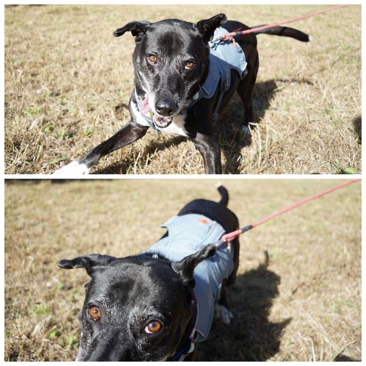 C35c1a2e bf23 40eb a05e b4c9128ddd4d 1759884325844