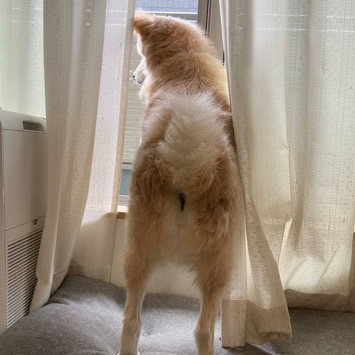 C35c36a7 ceb0 42ee b7c3 93420f945fa2 1652573594470