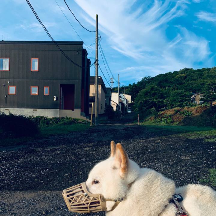 C35c3b10 9c20 4325 b843 cda9860c2f89 1598045415712