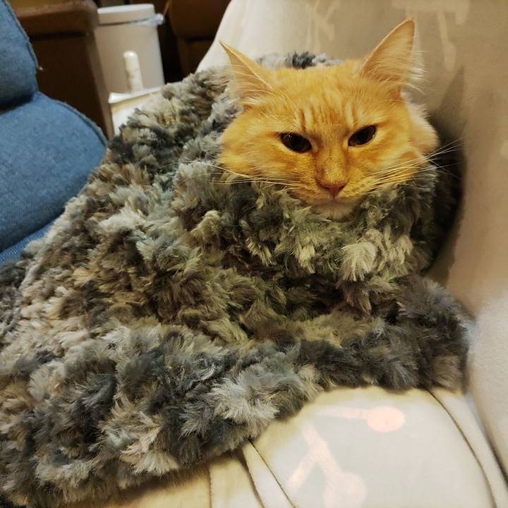 C35c48b4 536e 40b0 83ef 0dadadad67f0 1670161092806