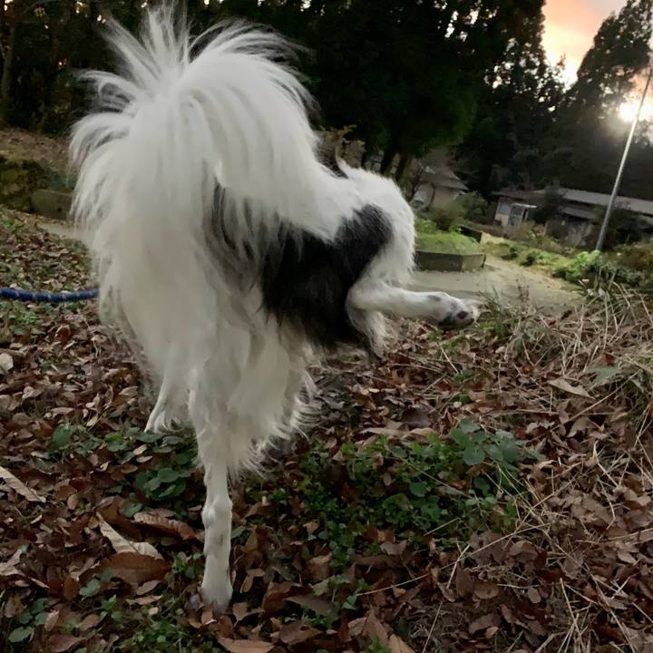 C35c8ca4 a4ad 459b 9fa3 2d99521e1cb8 1575382071068