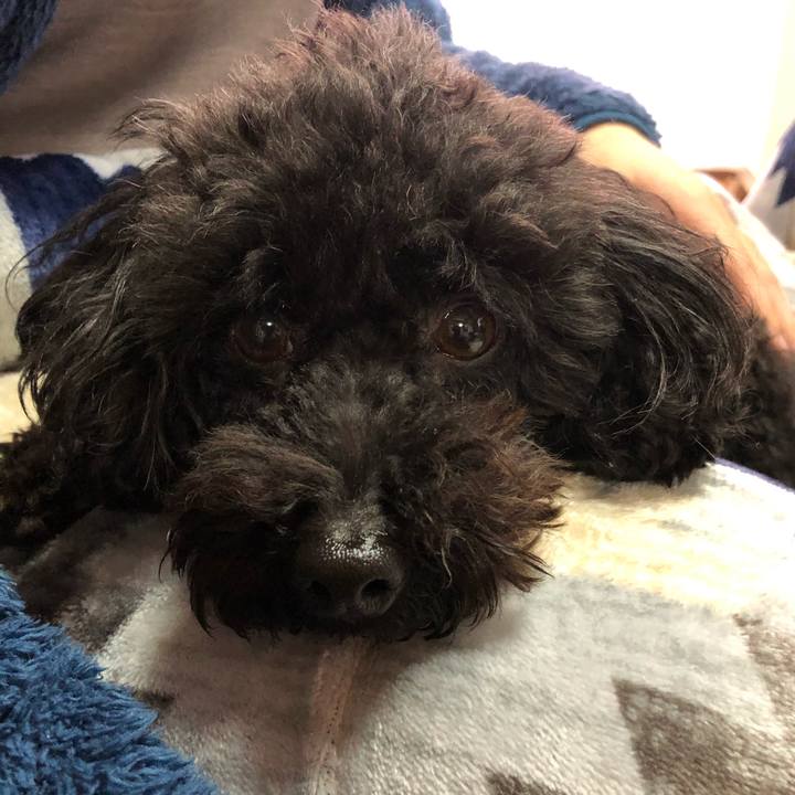 C35caaa5 9436 4fd0 8436 ab286b409309 1607747642225