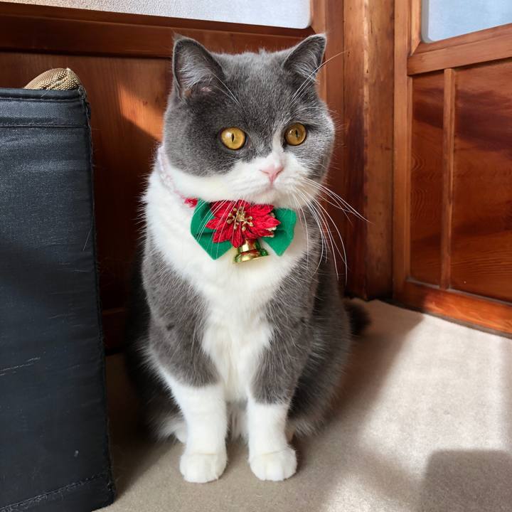 C35cacd0 d6dd 4eac b597 24ad5046d385 1577232515104