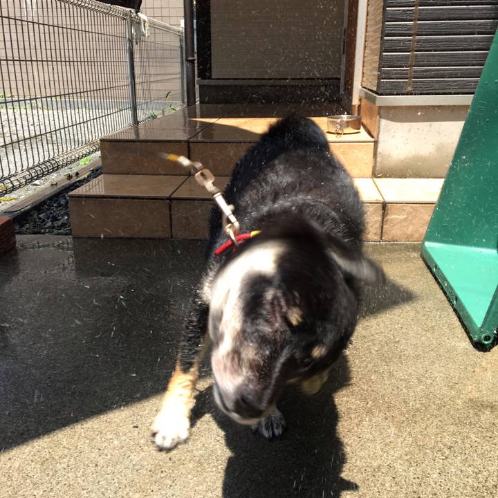 C35cb7af 0379 4c89 9cef 2f225bb9856e 1531622729308