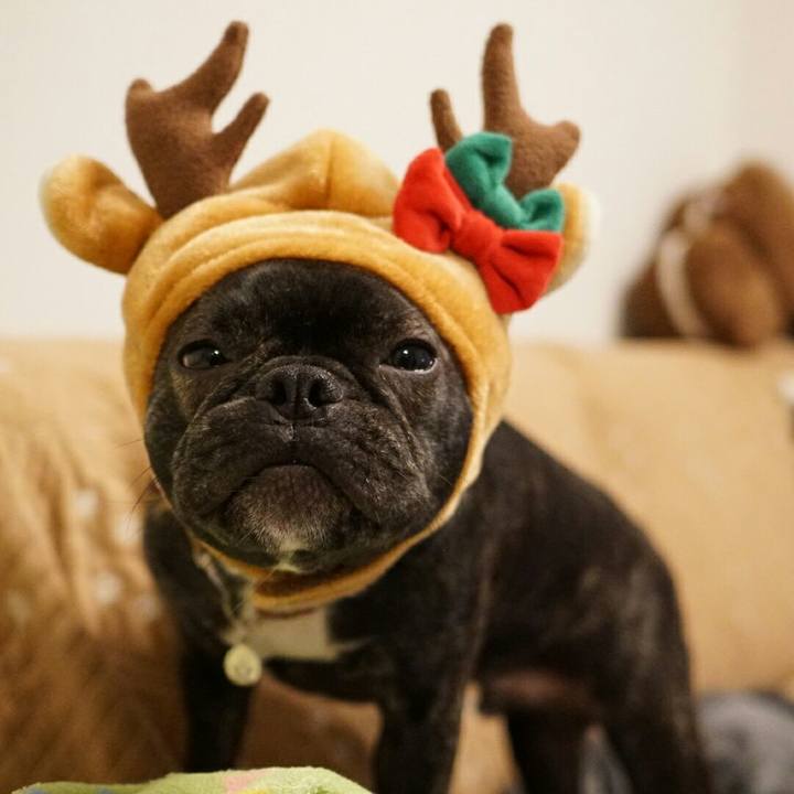 C35ceb92 df2a 4c6d 8854 8f443fafbc65 1514174247685