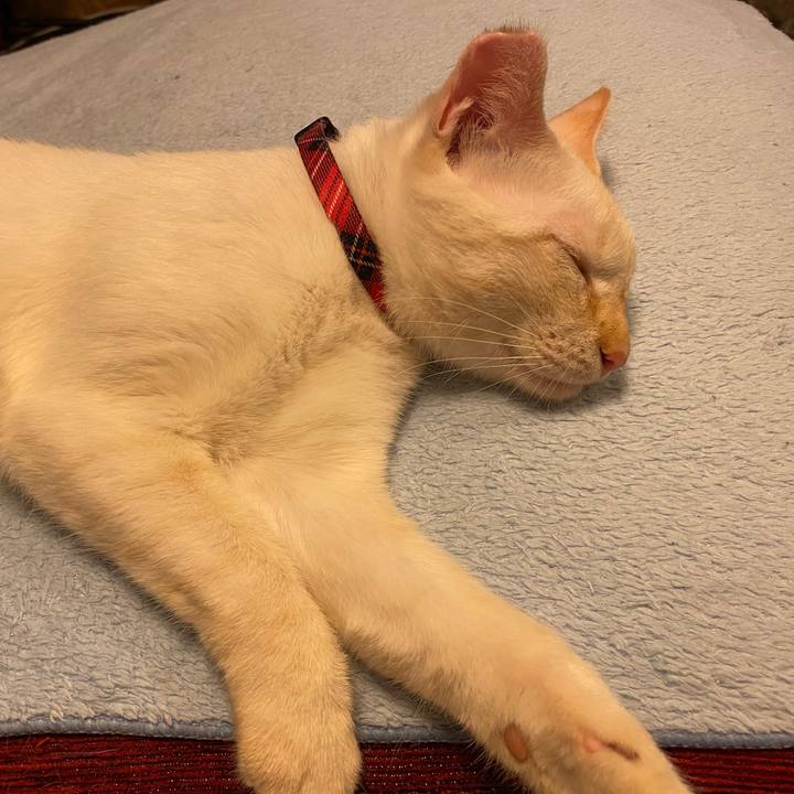 C35d04c7 6b56 466d b0e8 868eee8665ca 1597847709616