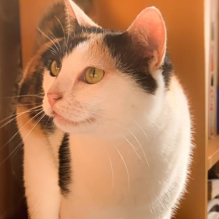 C35d245c 688c 484f 84b7 163accdf41d8 1568339479587