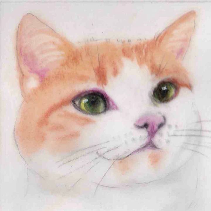 C35d3c98 4bd0 4466 ac74 8e57c11281a4 1645201844837